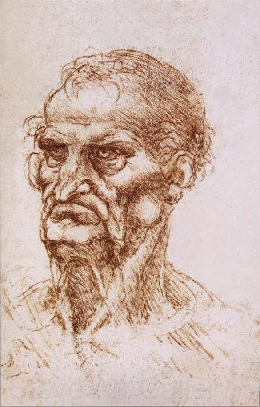 LEONARDO da Vinci Study of an old man